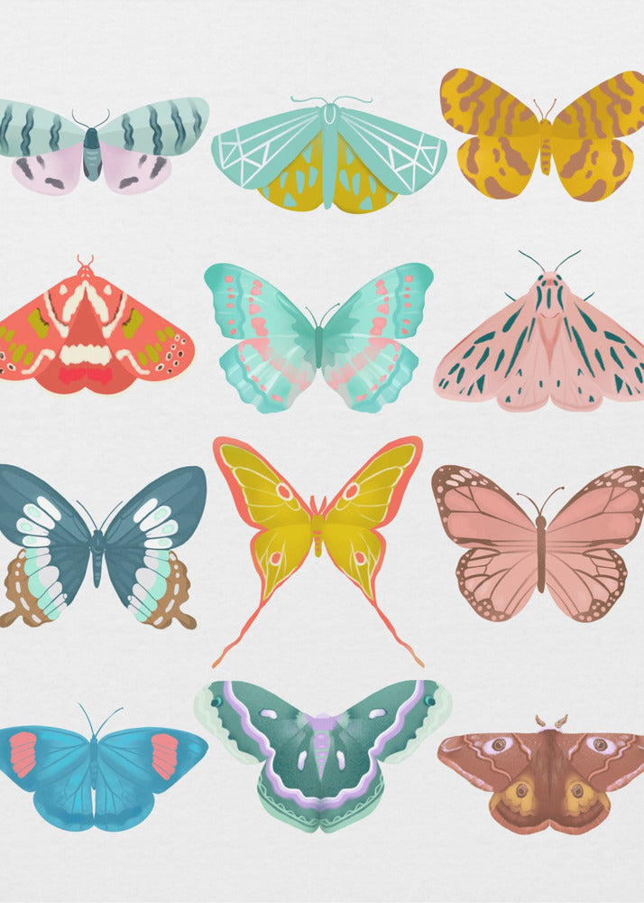 Butterfly | Poster