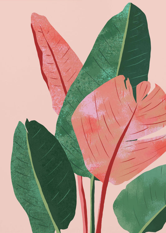Blush Tropical | Poster
