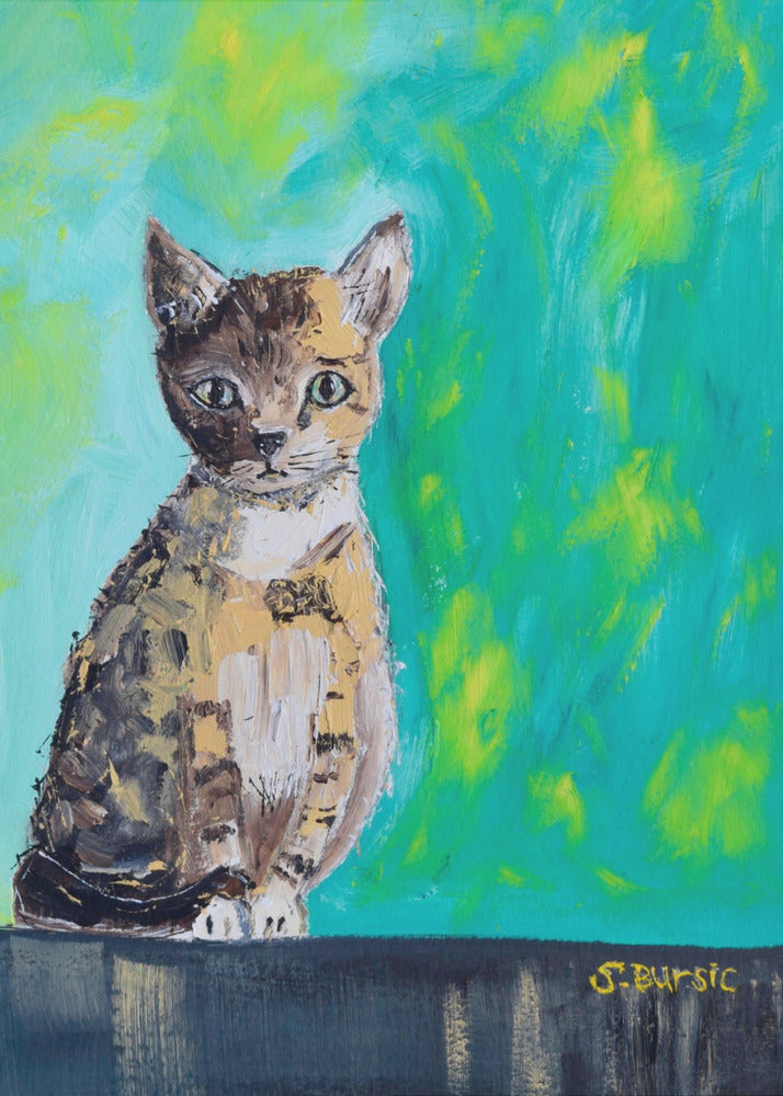 Kitten Waiting | Canvas