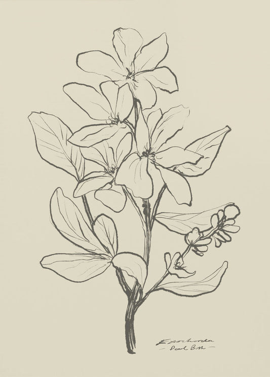 Floral 1 | Poster