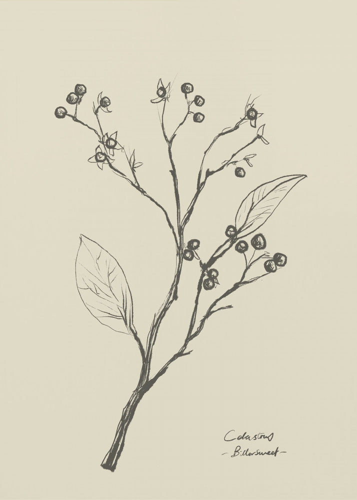 Floral 2 | Poster