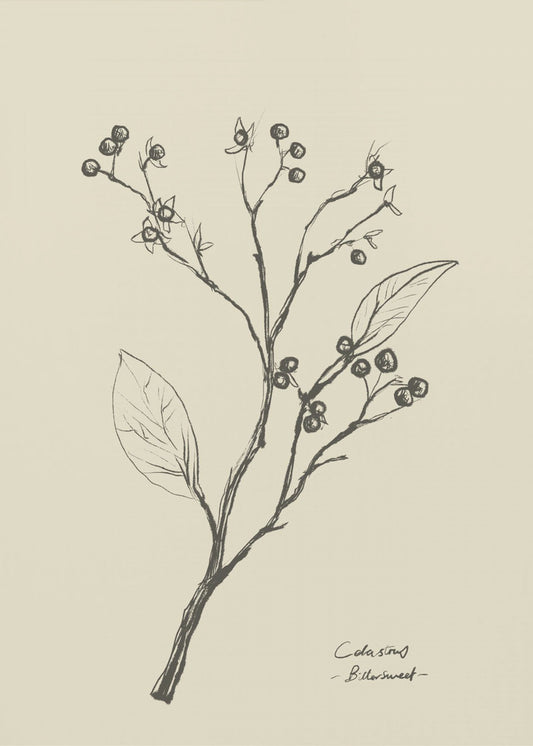 Floral 2 | Poster
