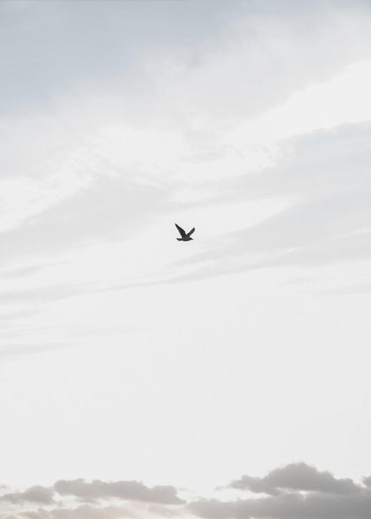 Flying High | Canvas