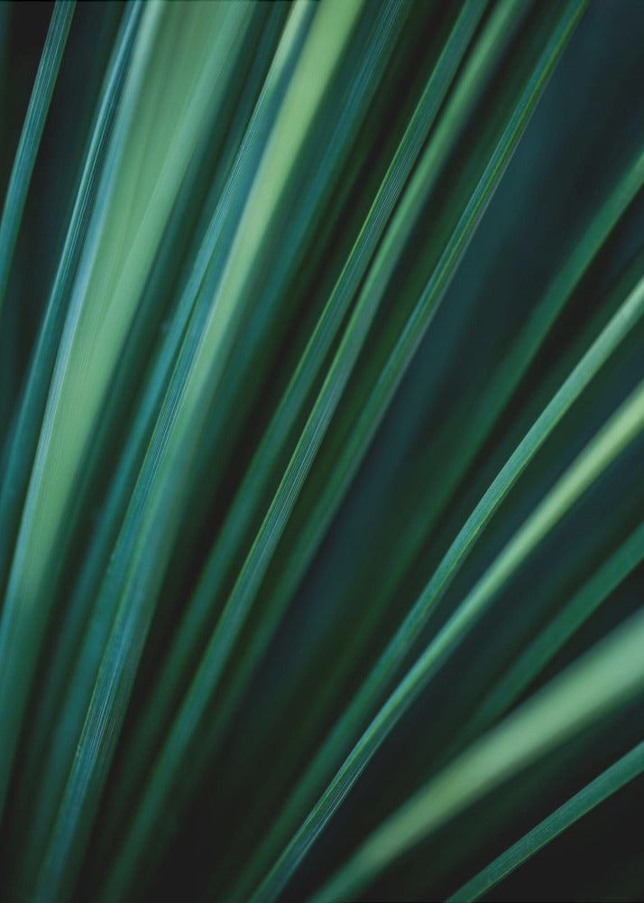 Green Straws 2 | Poster