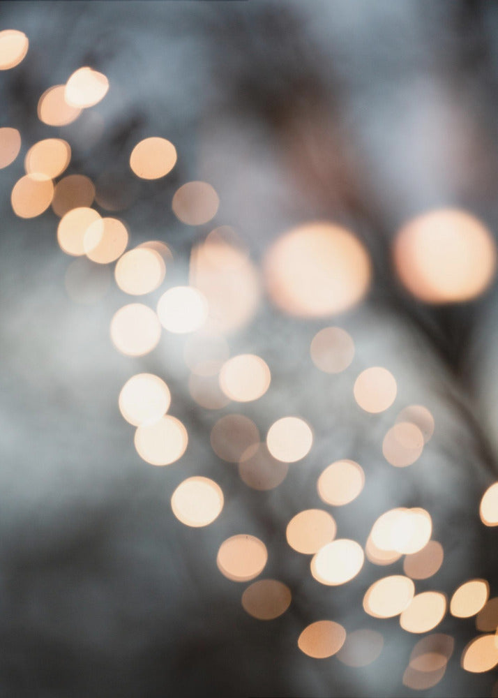 Winter Lights | Canvas