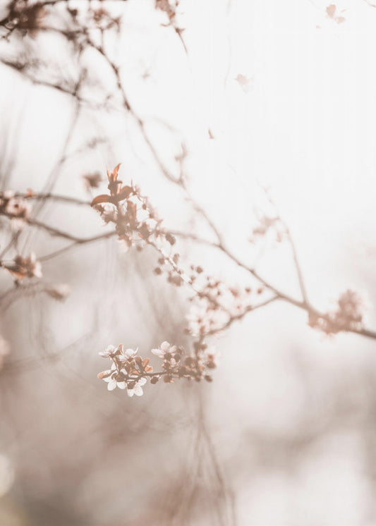 Last Spring 3 | Canvas