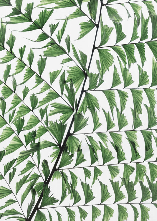 Summer Branches 4 | Canvas