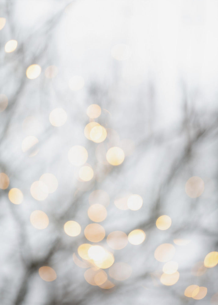 Winter Lights 2 | Poster