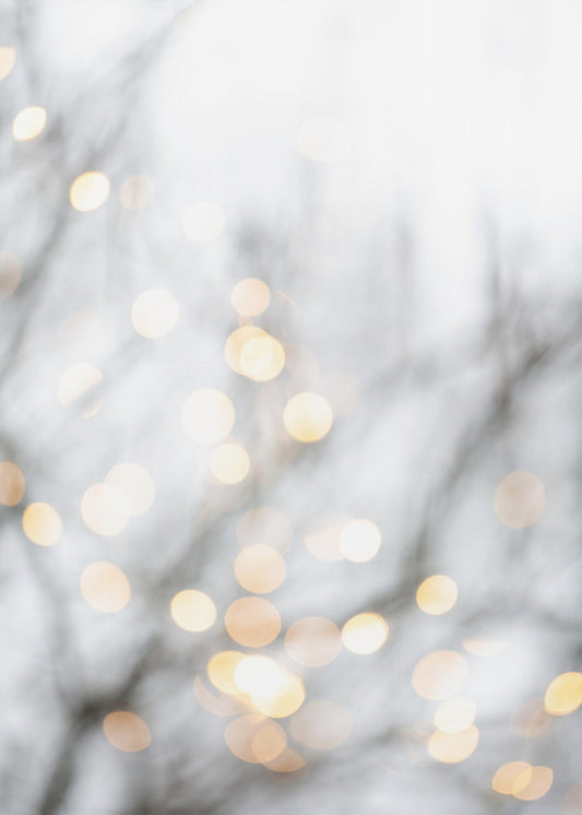 Winter Lights 2 | Canvas