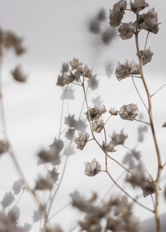 Last Summer 31 | Canvas