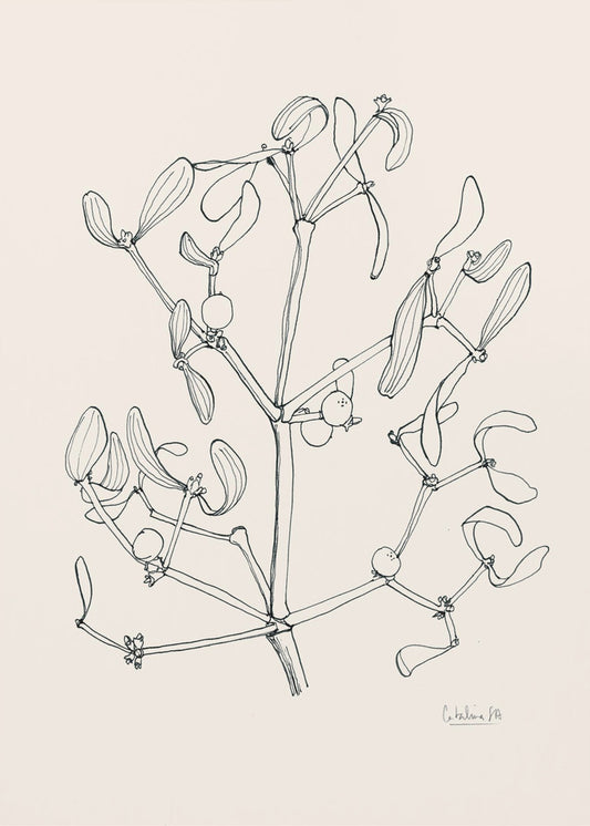 Misteltoe ink drawing | Canvas
