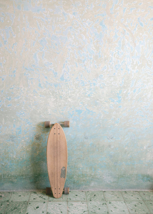 The Surf Skate | Canvas