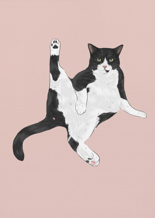 Cat In A Funny Pose | Canvas