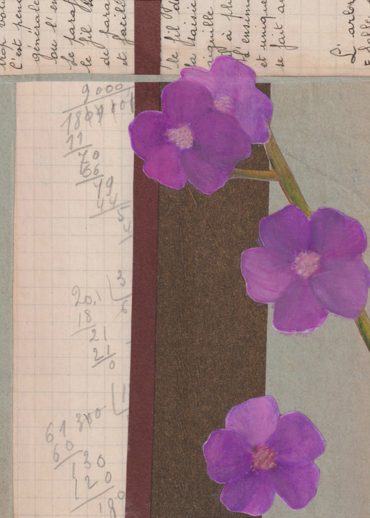 Pink Flowers | Canvas