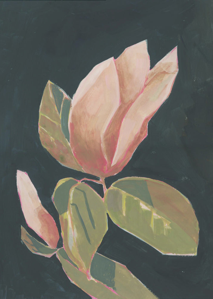 Magnolia in dark background | Canvas