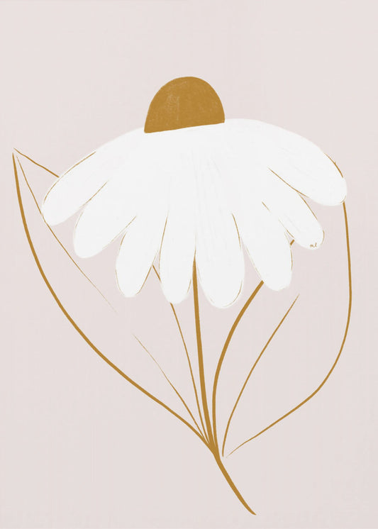 White Daisy | Canvas