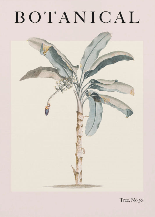 Botanicalno30 Ratioiso | Poster