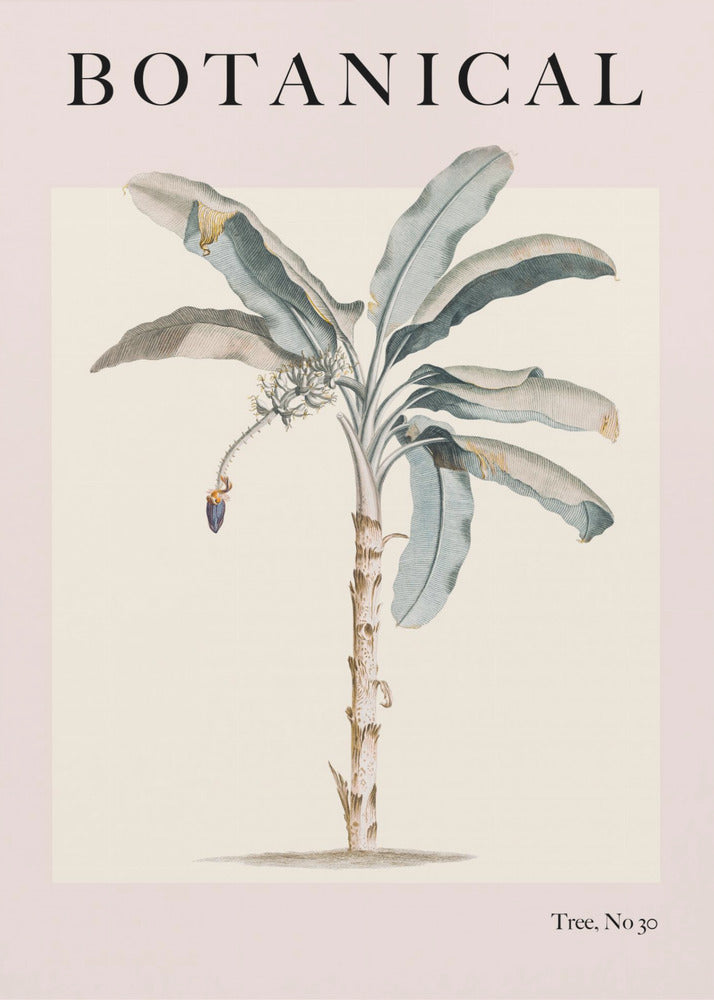 Botanicalno30 Ratioiso | Canvas