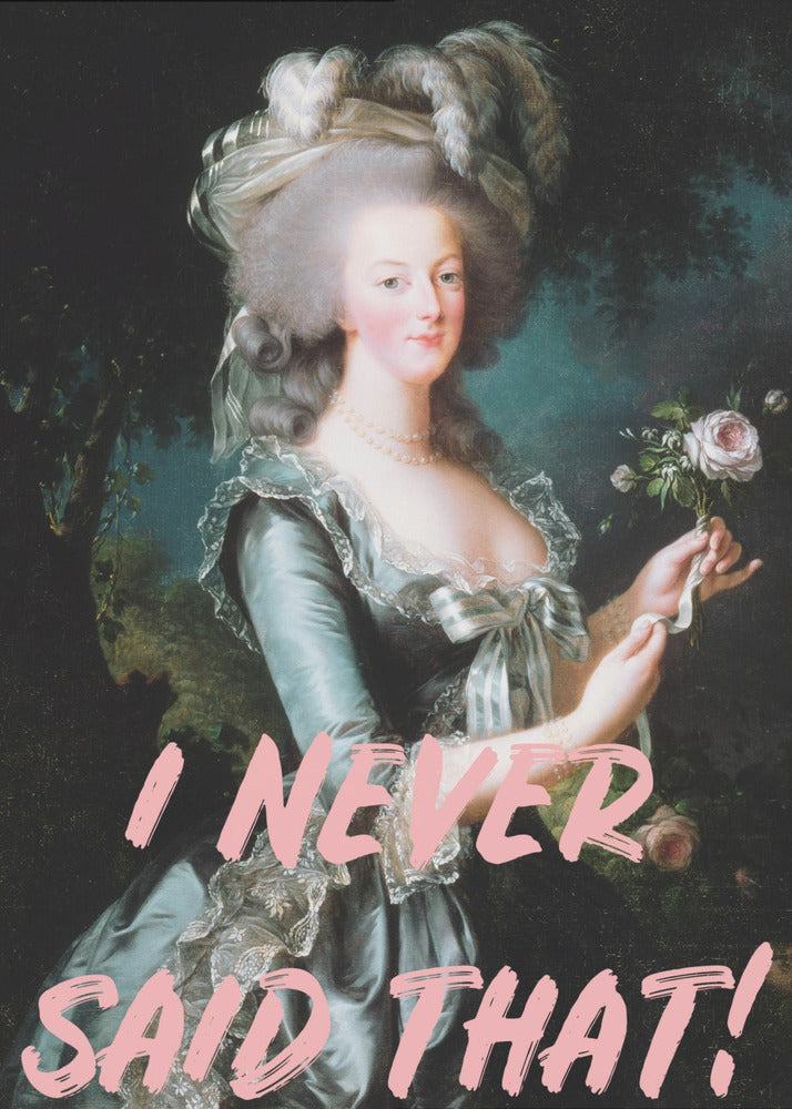 Ineversaidthat Ratio2x3 | Poster