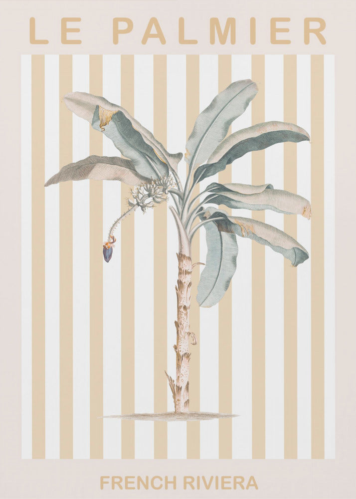 Palmierbeige Ratio2x3 | Canvas