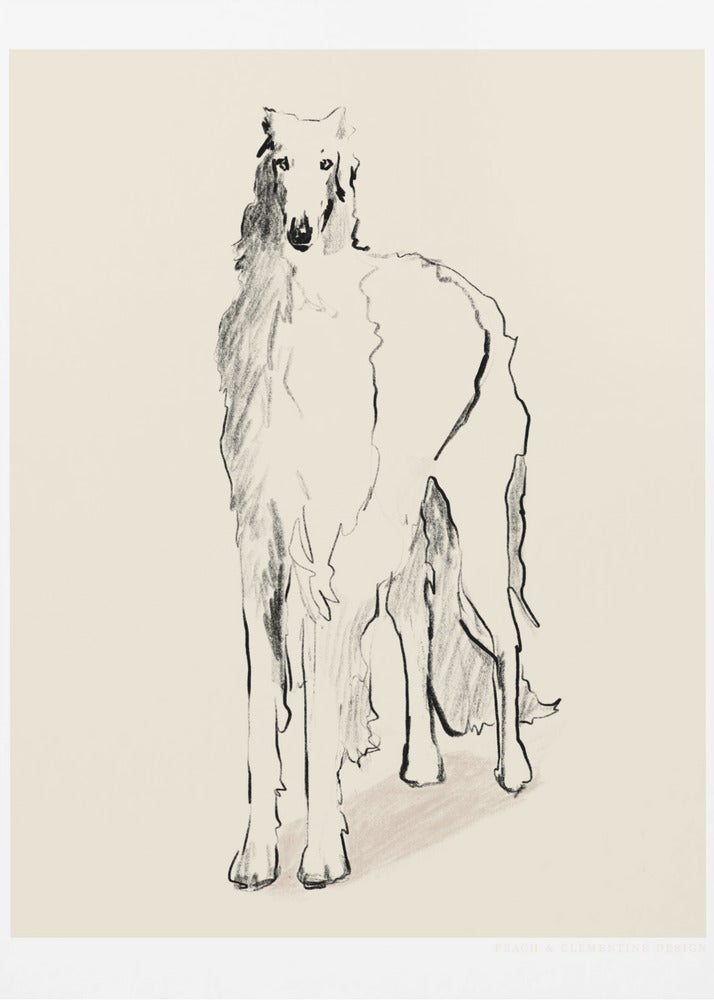 Borzoi Russian Wolfhound Pandc | Canvas
