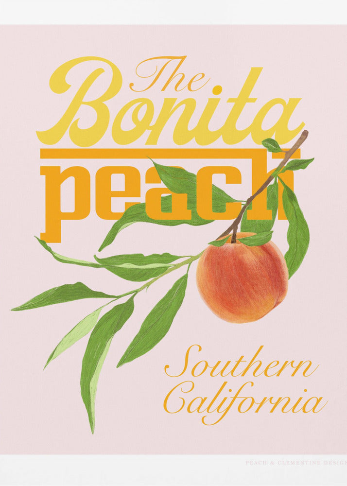 Pandcbonitapeach Copy | Canvas