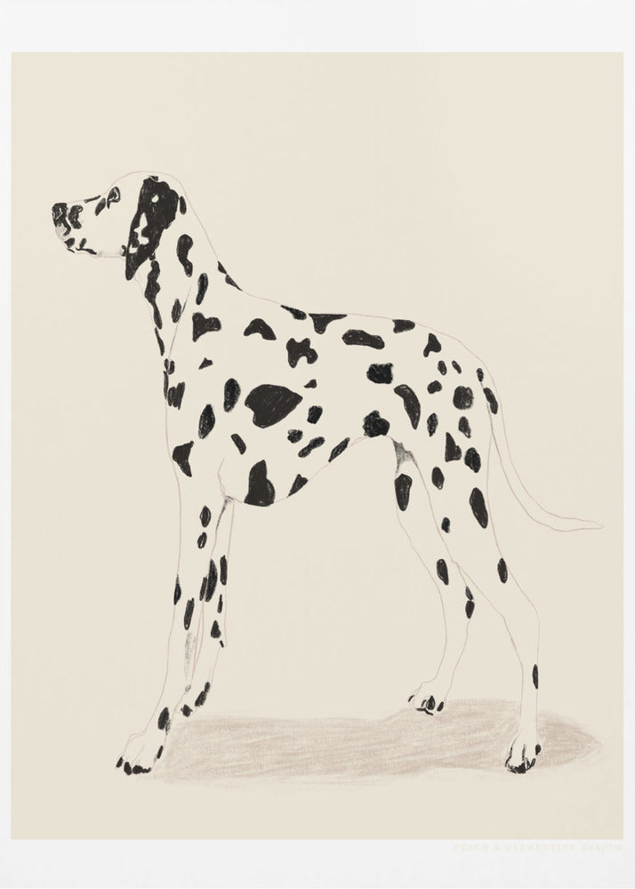 Pandc Dalmation | Canvas