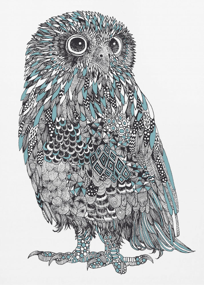 Baby Owl | Canvas