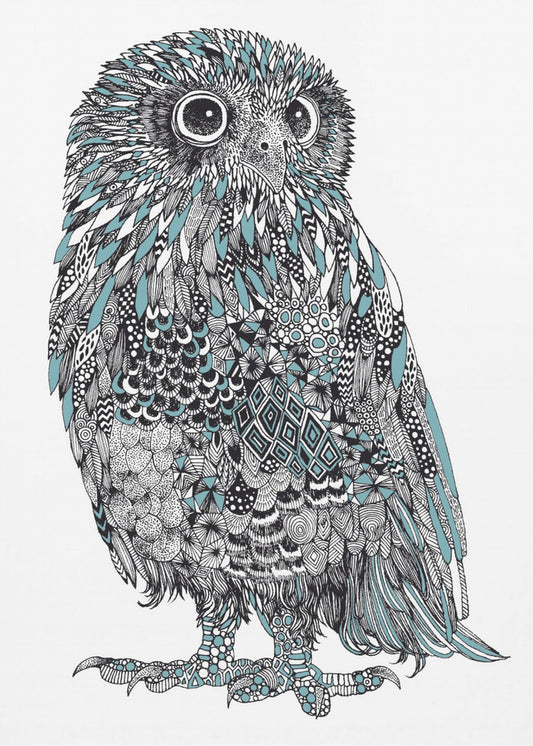 Baby Owl | Canvas