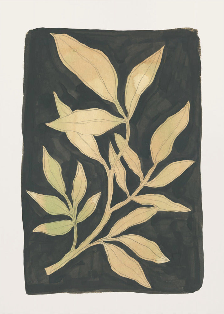 Foliage noir N.1 | Canvas