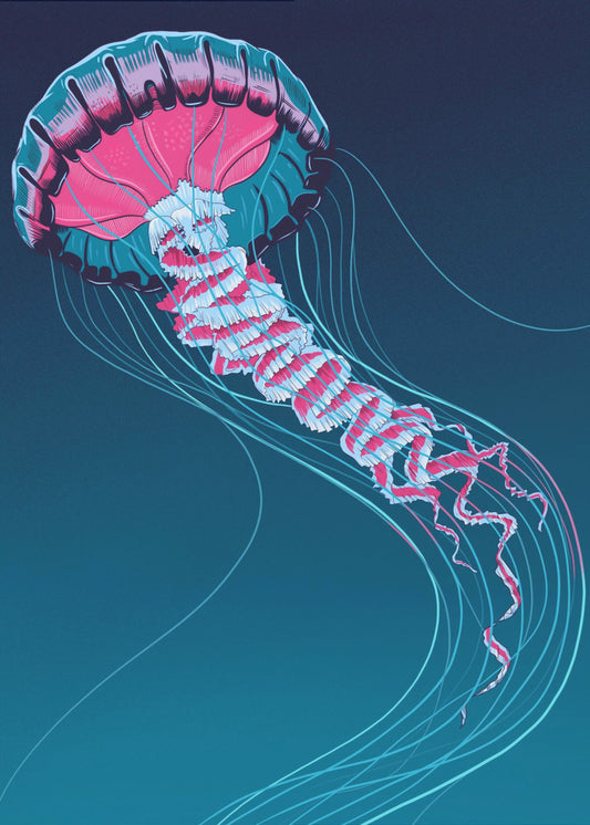 Lions Mane Jellyfish | Poster