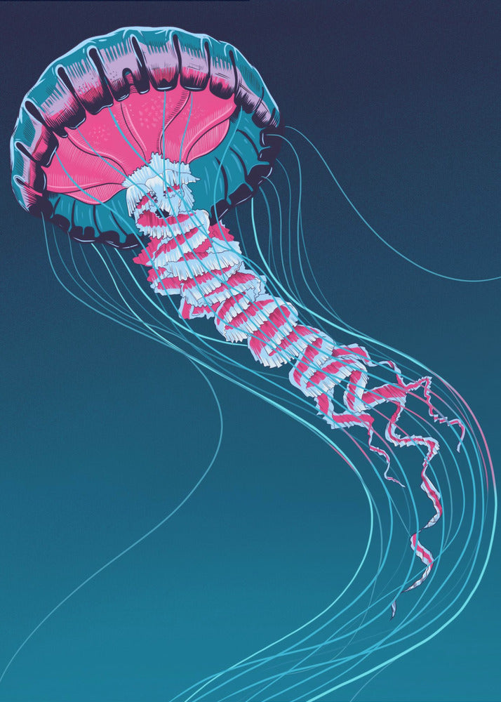 Lions Mane Jellyfish | Canvas