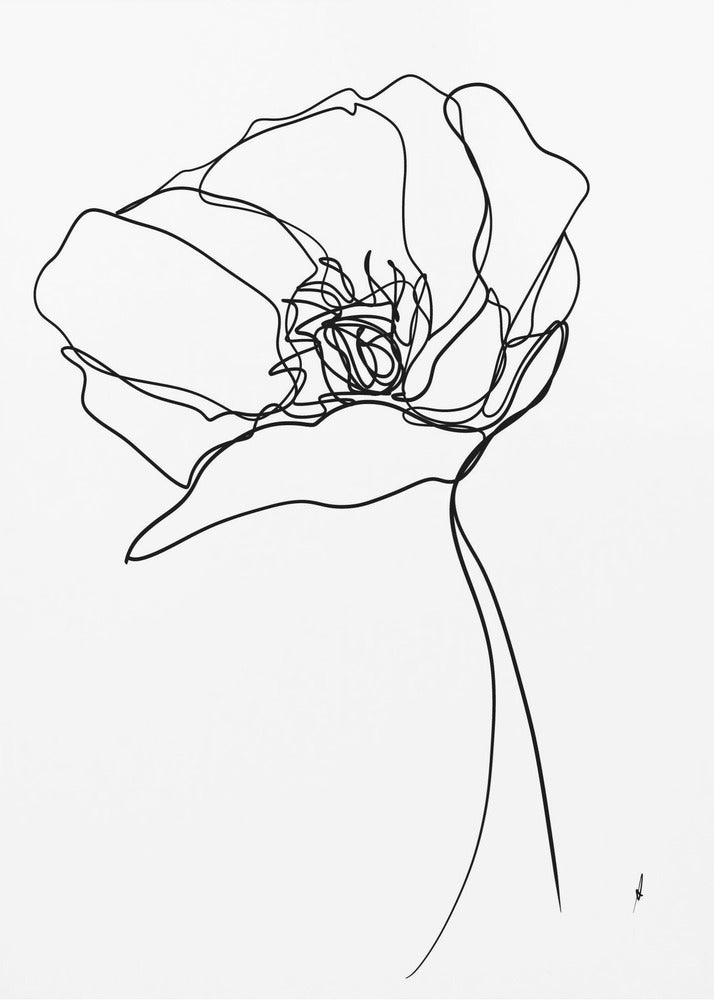 Poppy in One Line | Poster