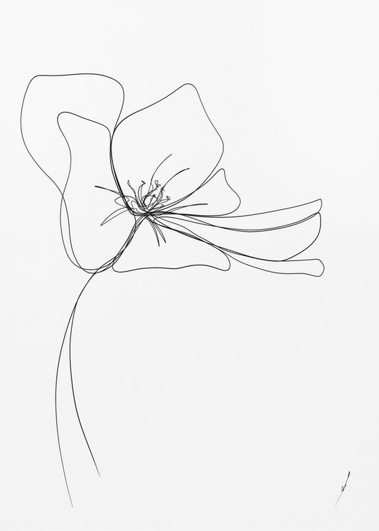 Whimsical Bloom | Poster