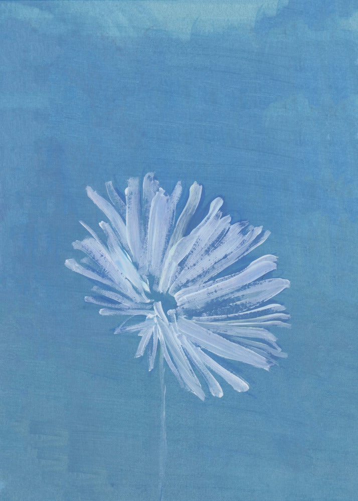 White Flower On Blue Background | Poster