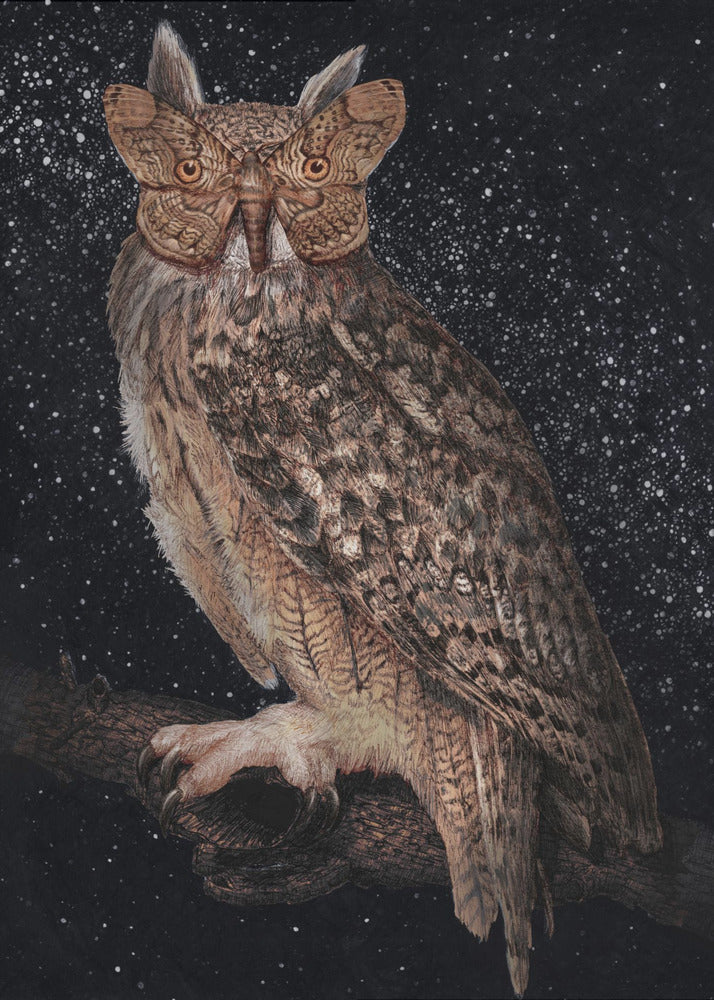 Camouflage and Stars Colour | Poster