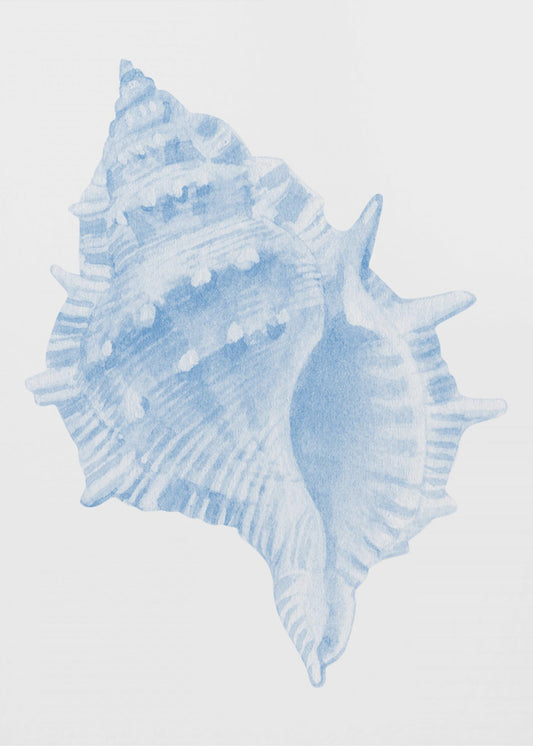 One Blue Conch | Poster
