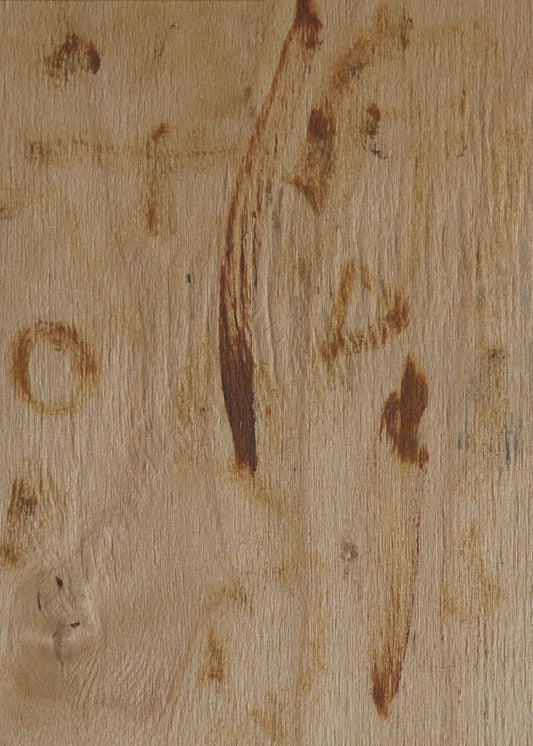 Wooden Whispers | Canvas