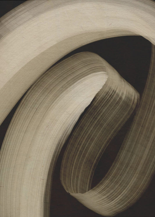 Curved Essence | Canvas