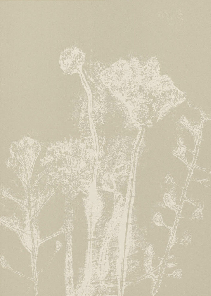 Abstract Florals. White meadow plants and flowers on neutral beige. | Poster