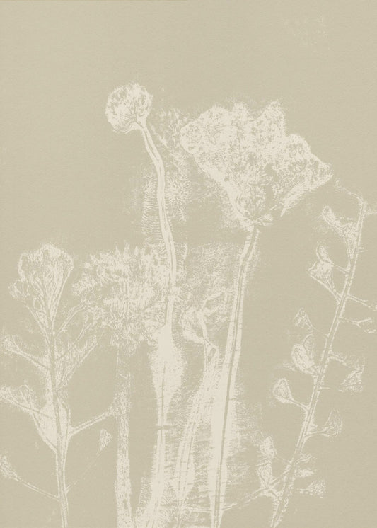 Abstract Florals. White meadow plants and flowers on neutral beige. | Canvas