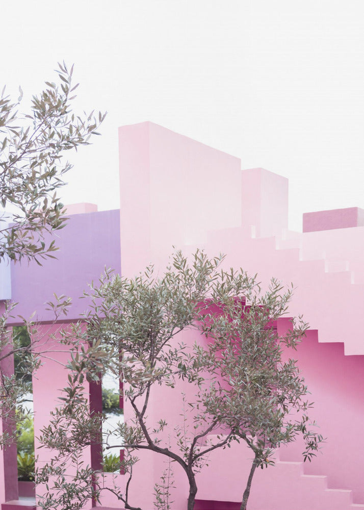 La Muralla Garden | Canvas