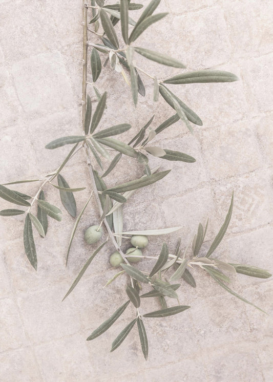 Spanish Tiles | Poster