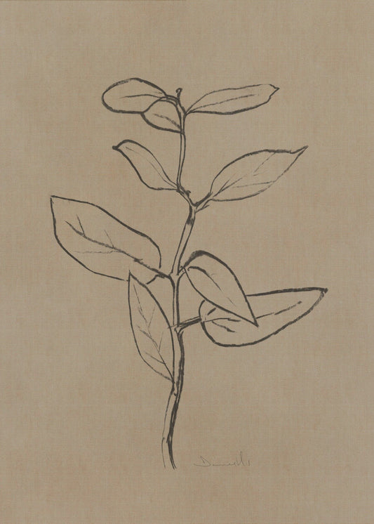 Eucalyptus Sapling | Canvas