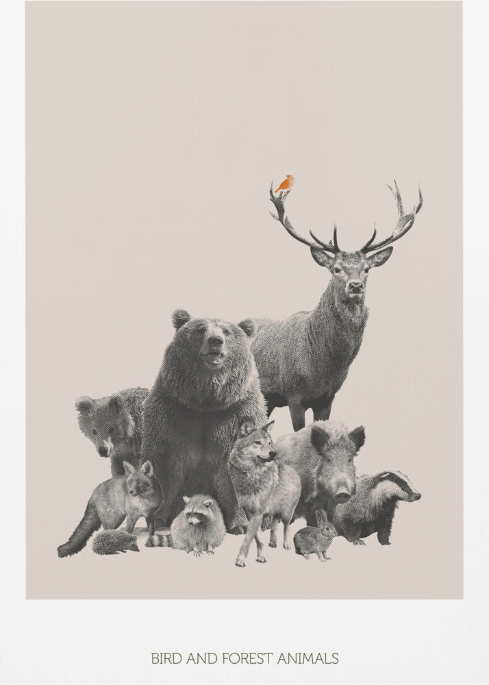Bird and Forest Animals | Canvas
