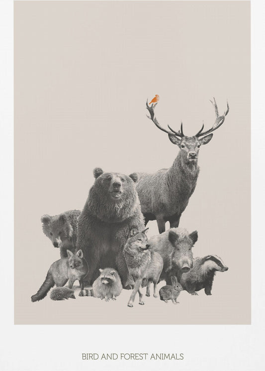 Bird and Forest Animals | Canvas