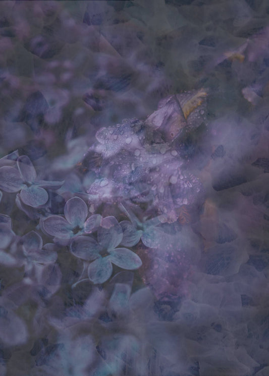 Spring #12.png | Poster