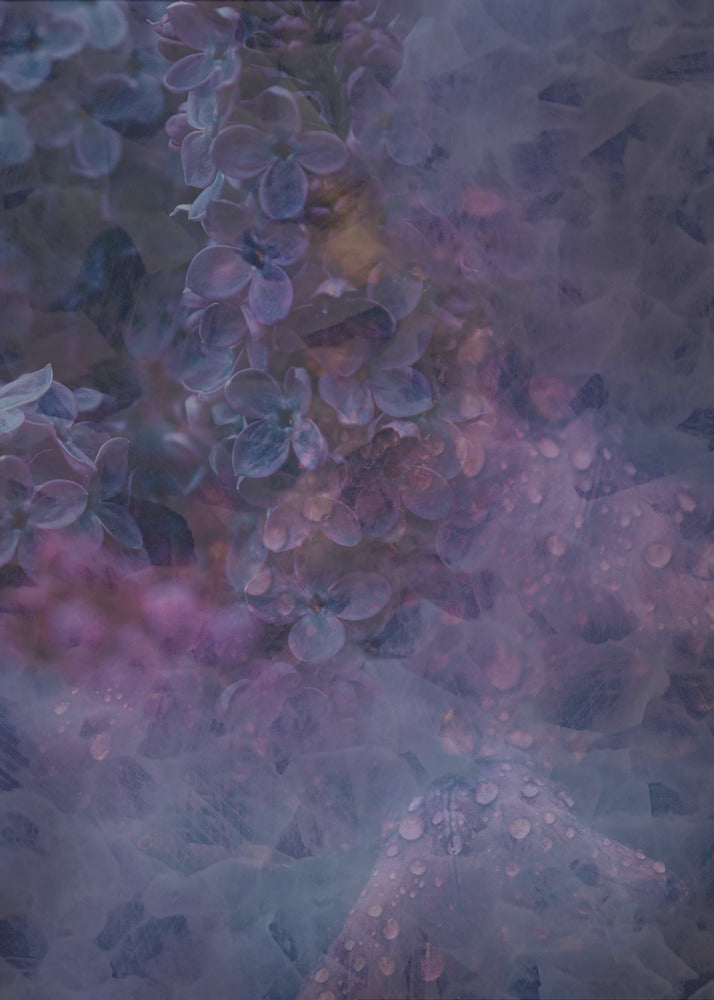 Spring #13.png | Poster