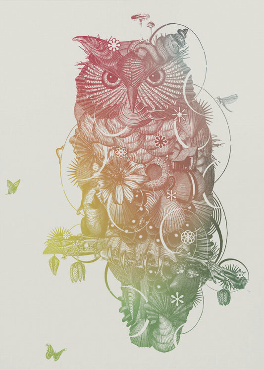 Owl | Poster