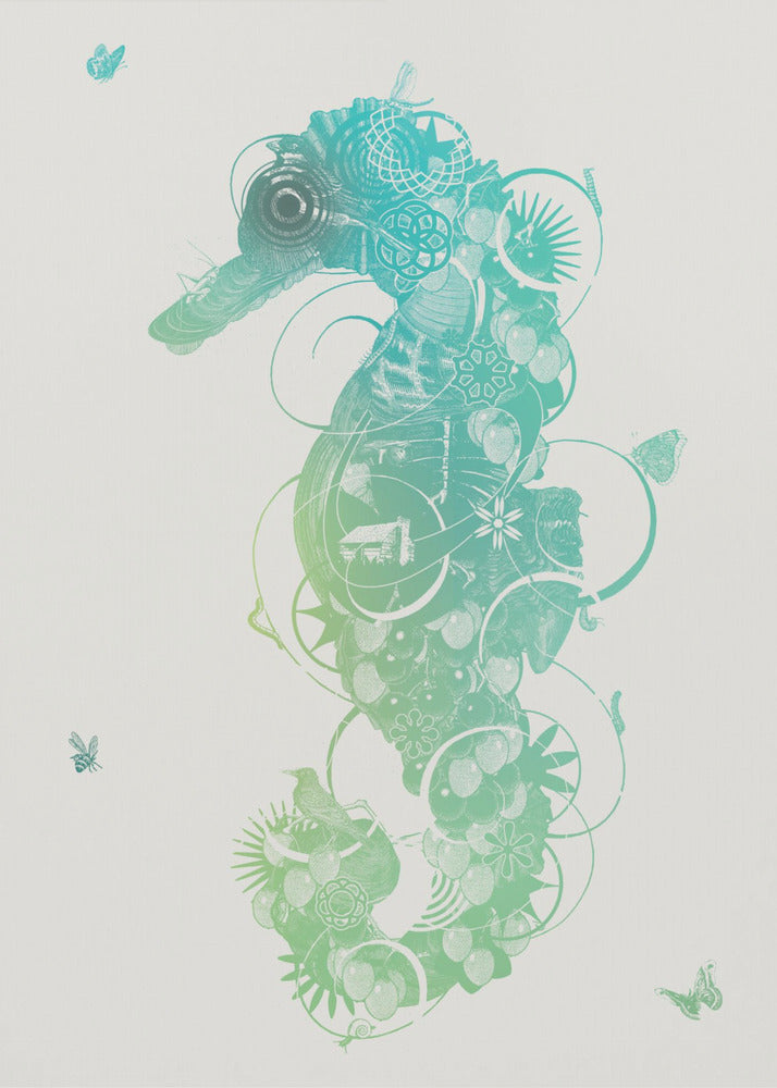 Seahorse | Poster